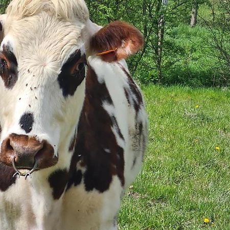 Roulotte A La Ferme Buissonniere Villa La Lande-de-Louge Bagian luar foto