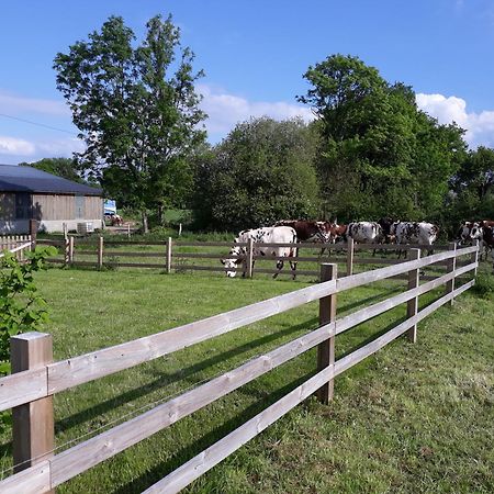 Roulotte A La Ferme Buissonniere Villa La Lande-de-Louge Bagian luar foto