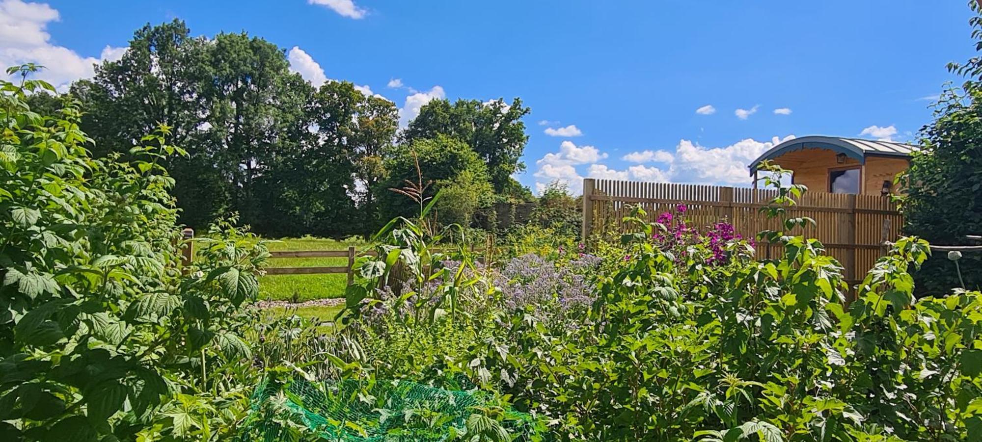 Roulotte A La Ferme Buissonniere Villa La Lande-de-Louge Bagian luar foto